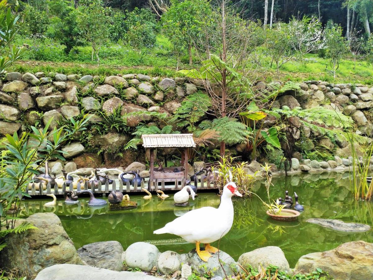 Yanzitao Pottery Coffee B&B Nanzhuang Oda fotoğraf